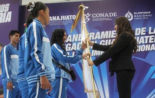 abanderados