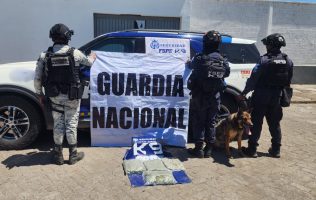 Policía K9