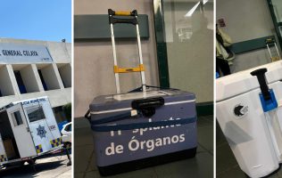 realizan donación multiorgánica en celaya y salvan hasta 7 vidas con operativo aéreo