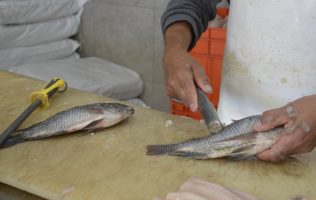Resalta Guanajuato operativo de Cuaresma 2026 para vigilar pescados y centros recreativos