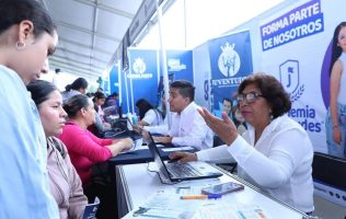 Estancias profesionales