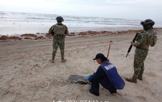 Sigue arribando petróleo crudo derramado a 16 playas del Golfo de México
