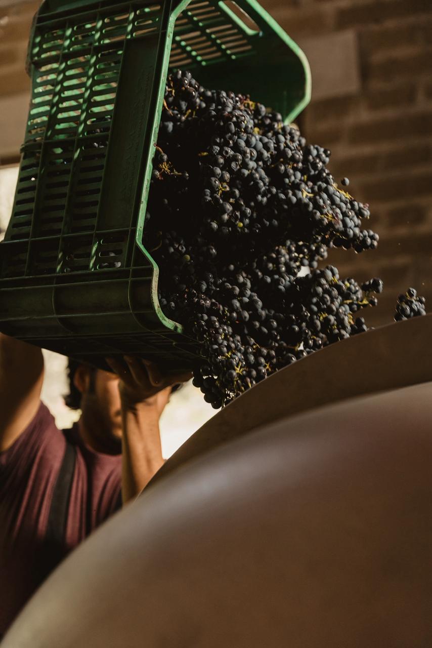 Vinos SMA