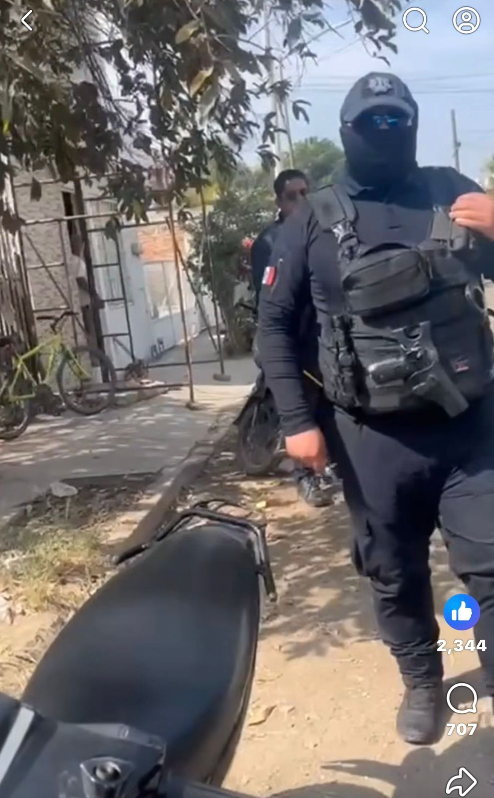 Perritos