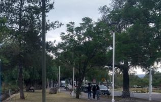 Camino viejo