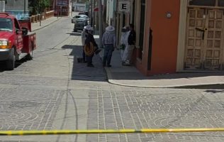 Abejas