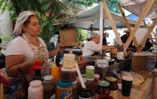 Festival del Agave