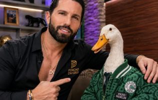 pato
