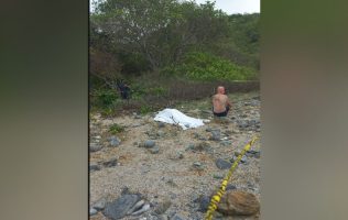 Turista