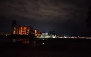 Cocodrilo