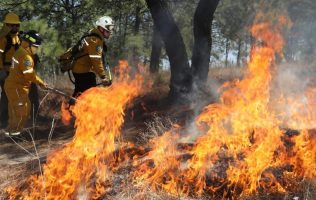 incendios