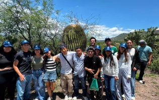 Juventudes