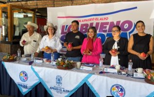 Apaseo el Alto