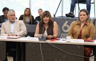 Diputada PRI