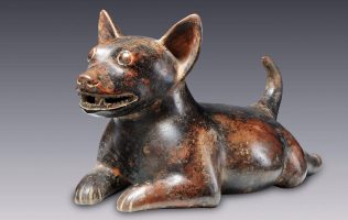 Perrito colimote