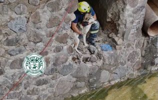 rescate