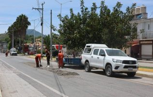 Victoria Bacheo