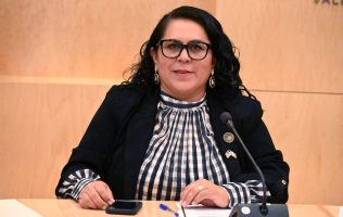 Diputada Yesenia Rojas