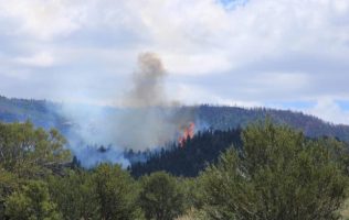 Incendio forestal