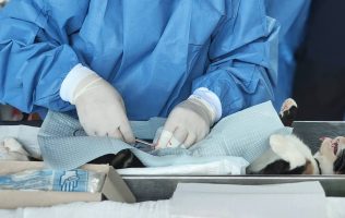 Esterilizaciones