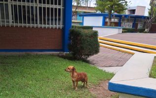 Chiquilin