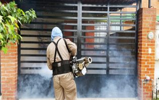 Dengue