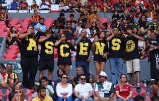 Leones negros