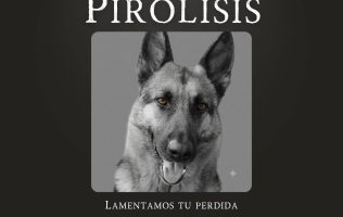 Pirólisis