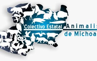 Crueldad animal