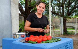 Cocinas ecológicas