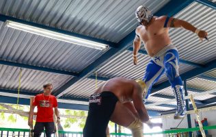 Luchas