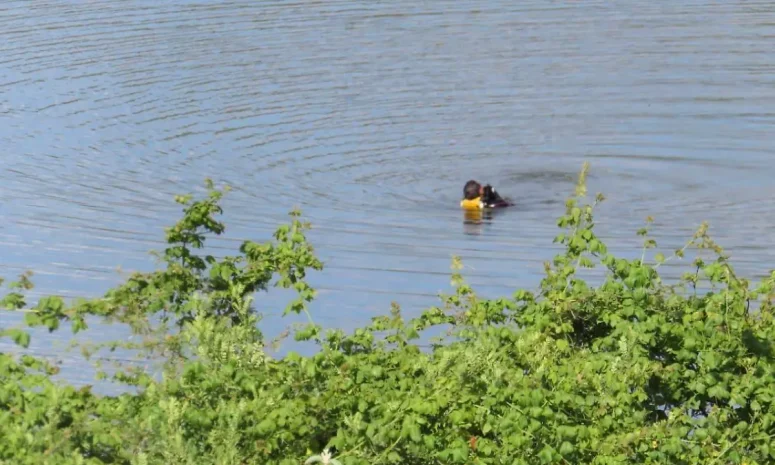 Adolescente muere ahogado en Duarte