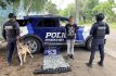 k9