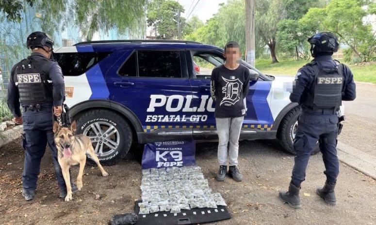 K9 asegura droga en León