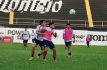Venados