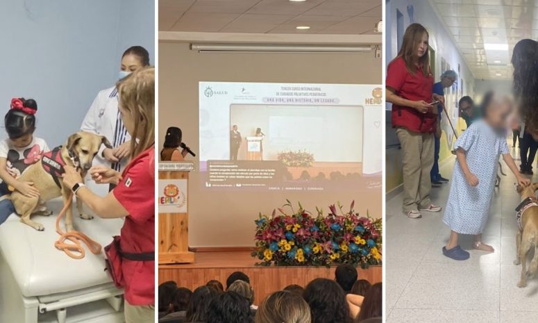 Incorpora Guanajuato terapia asistida con animales en cuidados paliativos pediátricos