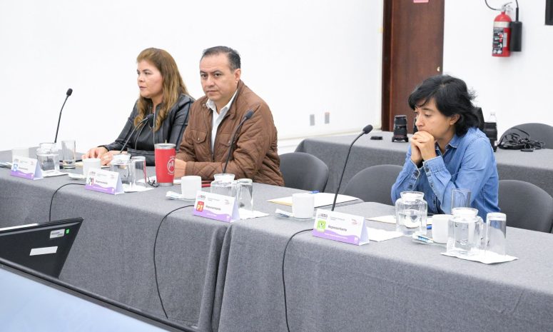 IEEG rechaza candidaturas independientes