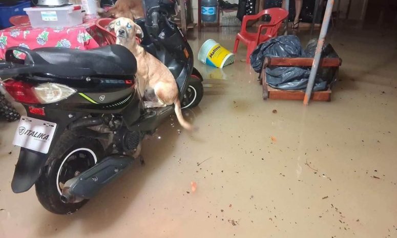 Bacalar bajo el agua tras tormenta