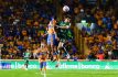 Tigres