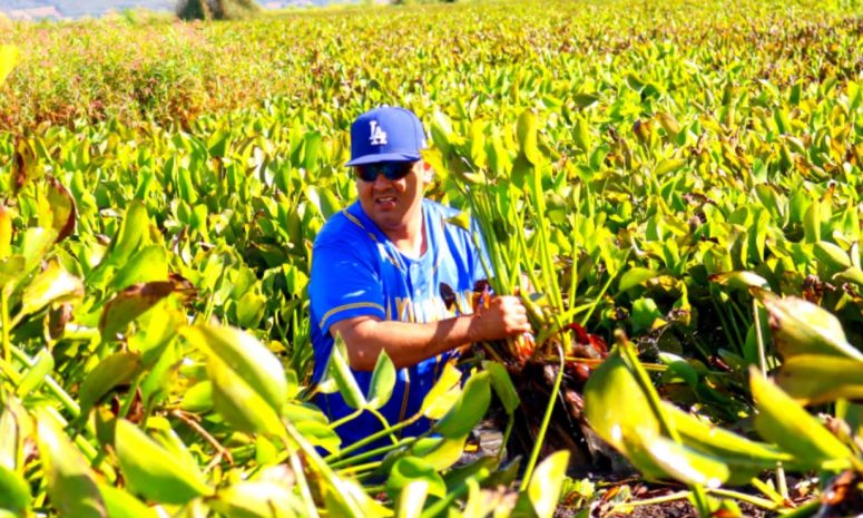 Equipo Capibaras entra al rescate lagunar