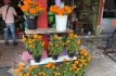 Día de muertos