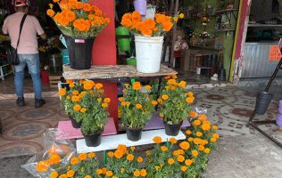 Día de muertos