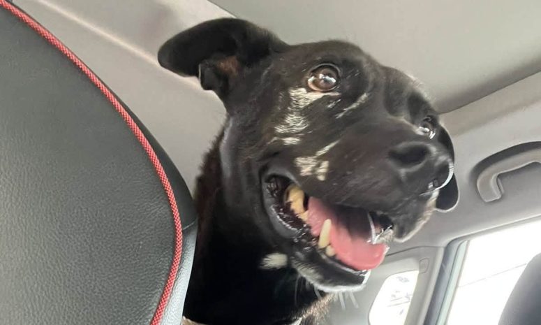 Negrita vence adversidad gracias a solidaridad